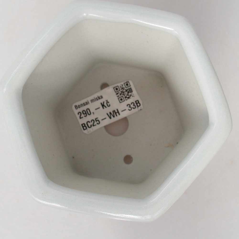 kerámia bonsai tál 10,5 x 9,5 x 9 cm, fehér színben