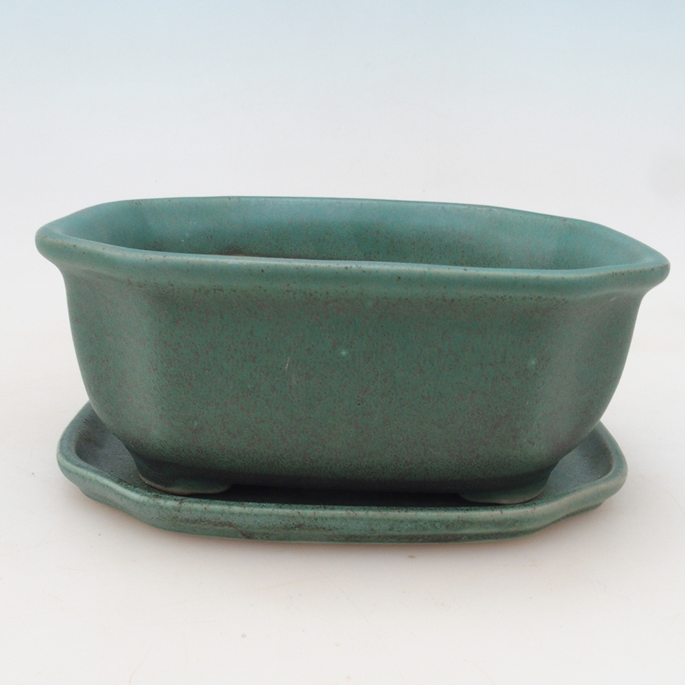 Bonsai tál + csészealj H31 - zöld