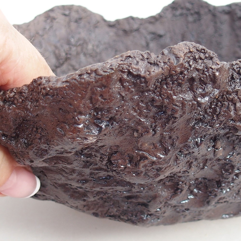 Kerámia kagyló 19 x 15 x 14 cm , barna színű