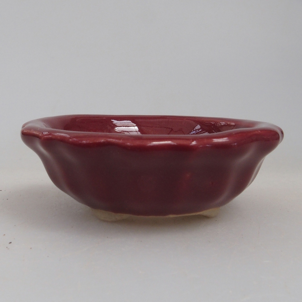 Mini bonsai tál 5 x 5 x 1,5 cm, bordó színben