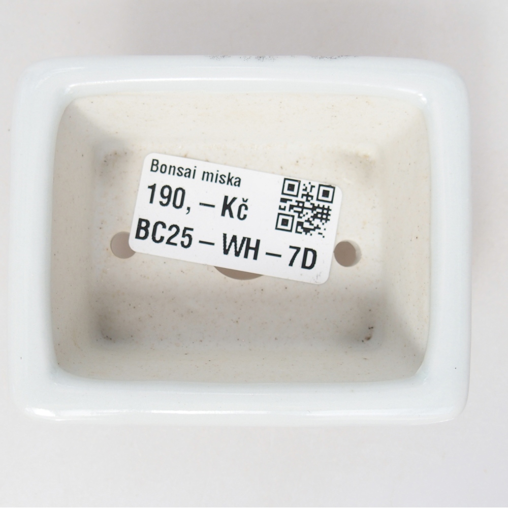Mini bonsai tál 8 x 6 x 3 cm, fehér