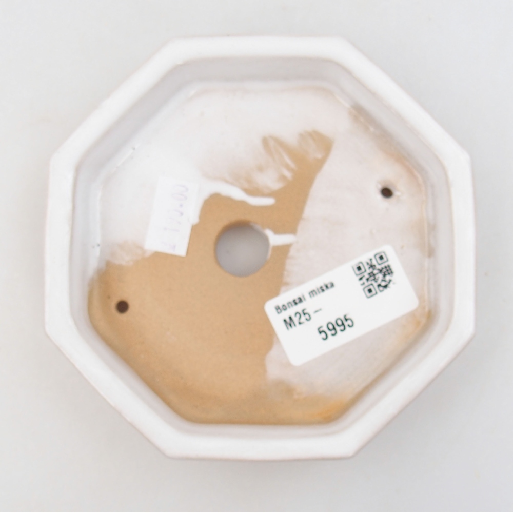 kerámia bonsai tál 22 x 17 x 5 cm, zöld