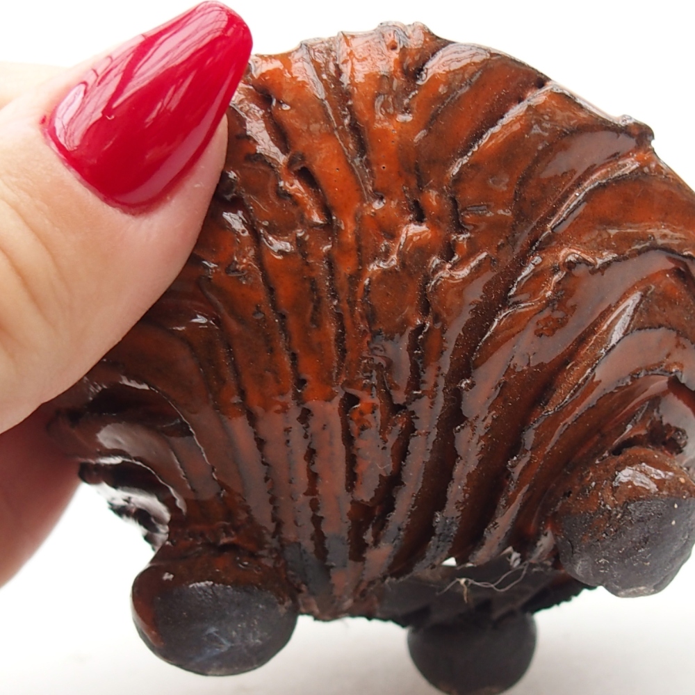 Kerámia kagyló 8,5 x 8,5 x 5 cm , narancssárga színű