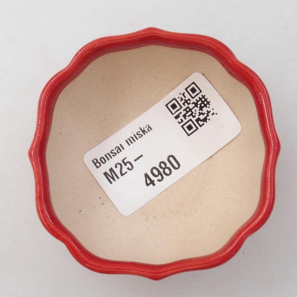 Mini bonsai tál 6 x 5,5 x 2,5 cm, piros színben