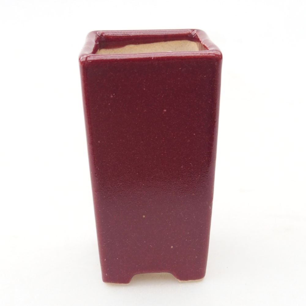 Mini bonsai tál 3 x 3 x 5,5 cm, bordó színű