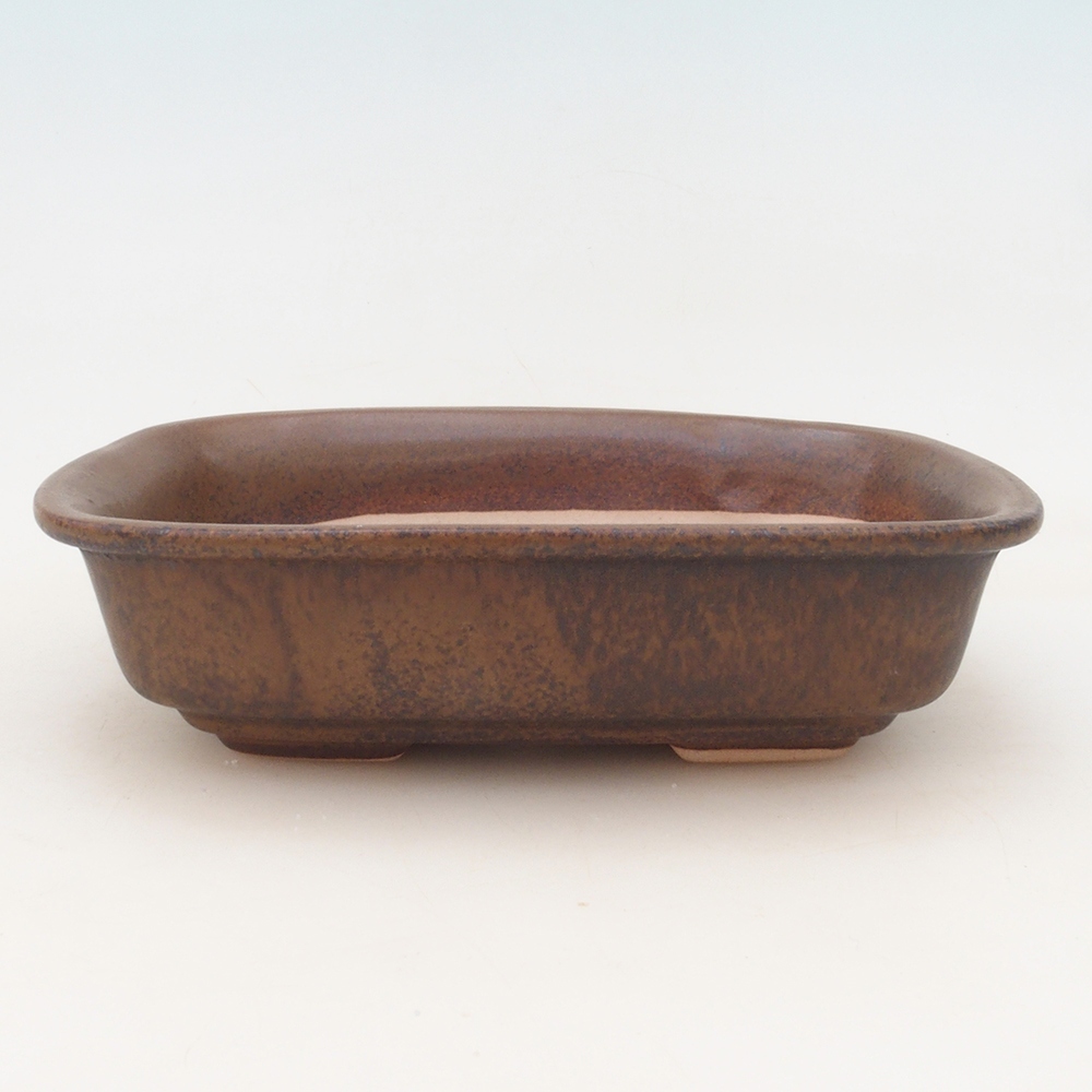 Bonsai tál + csészealj H02 - barna