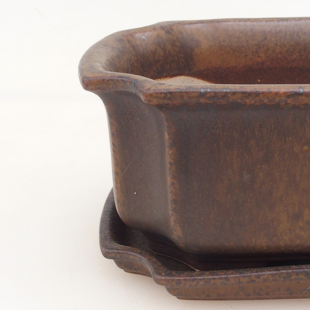 Bonsai tál + csészealj H01 - barna