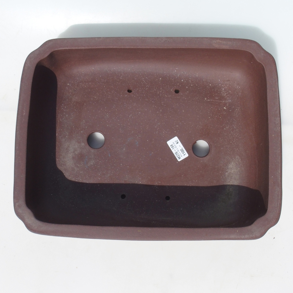 Bonsai tál 41,5 x 32 x 10,5 cm nyírfa barna