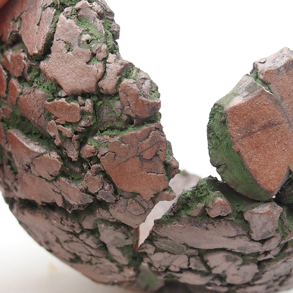 Kerámia kagyló 9 x 9,5 x 5,5 cm , zöld színű