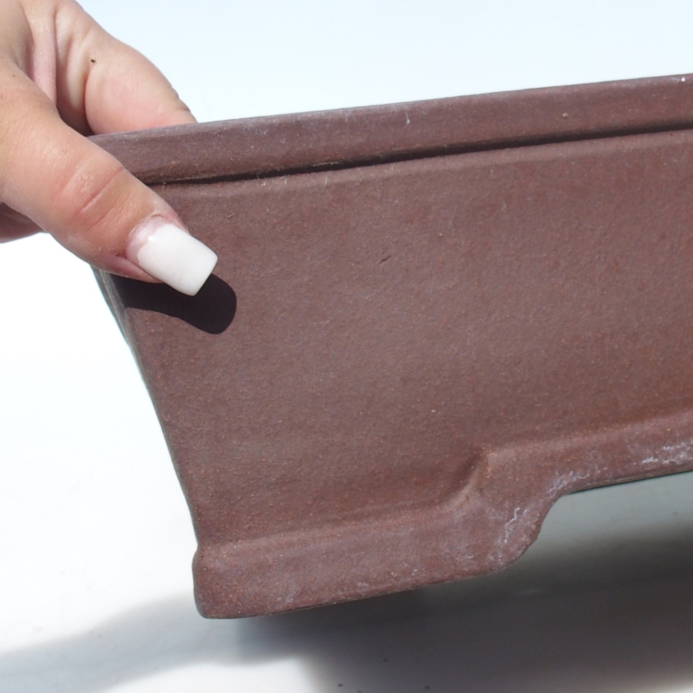 Bonsai tál 40 x 32,5 x 10,5 cm nyírfa barna