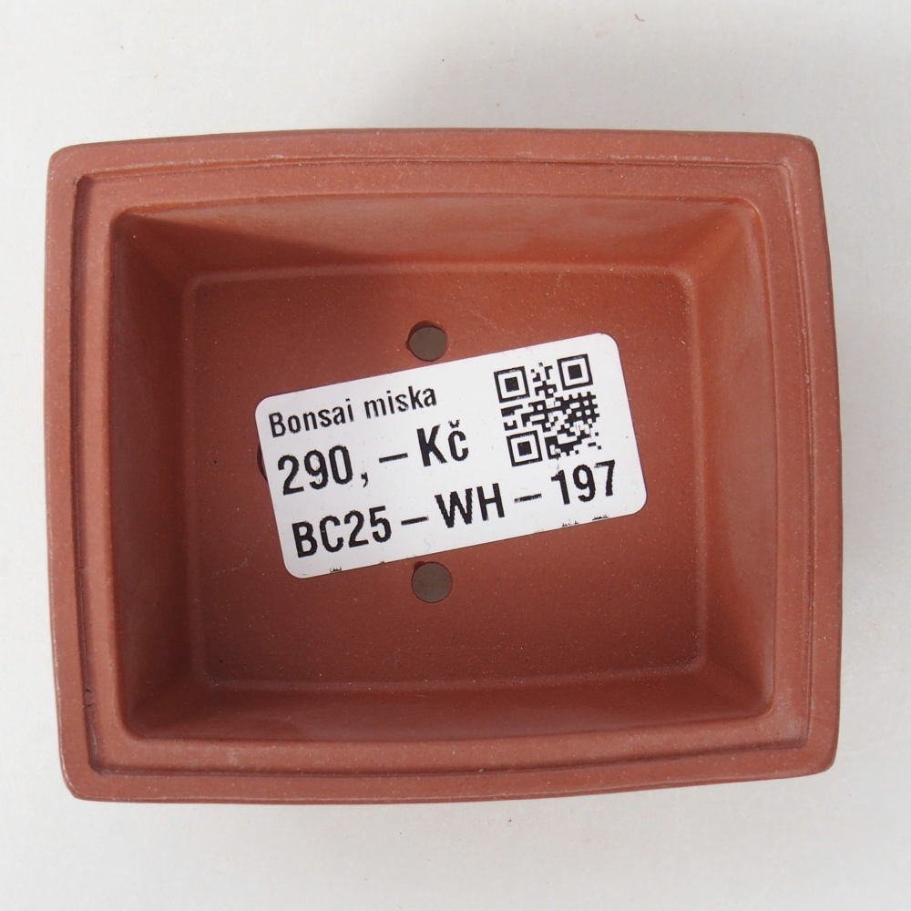 Mini bonsai tál 7,5 x 6,5 x 3 cm, téglaszínű, tégla színű