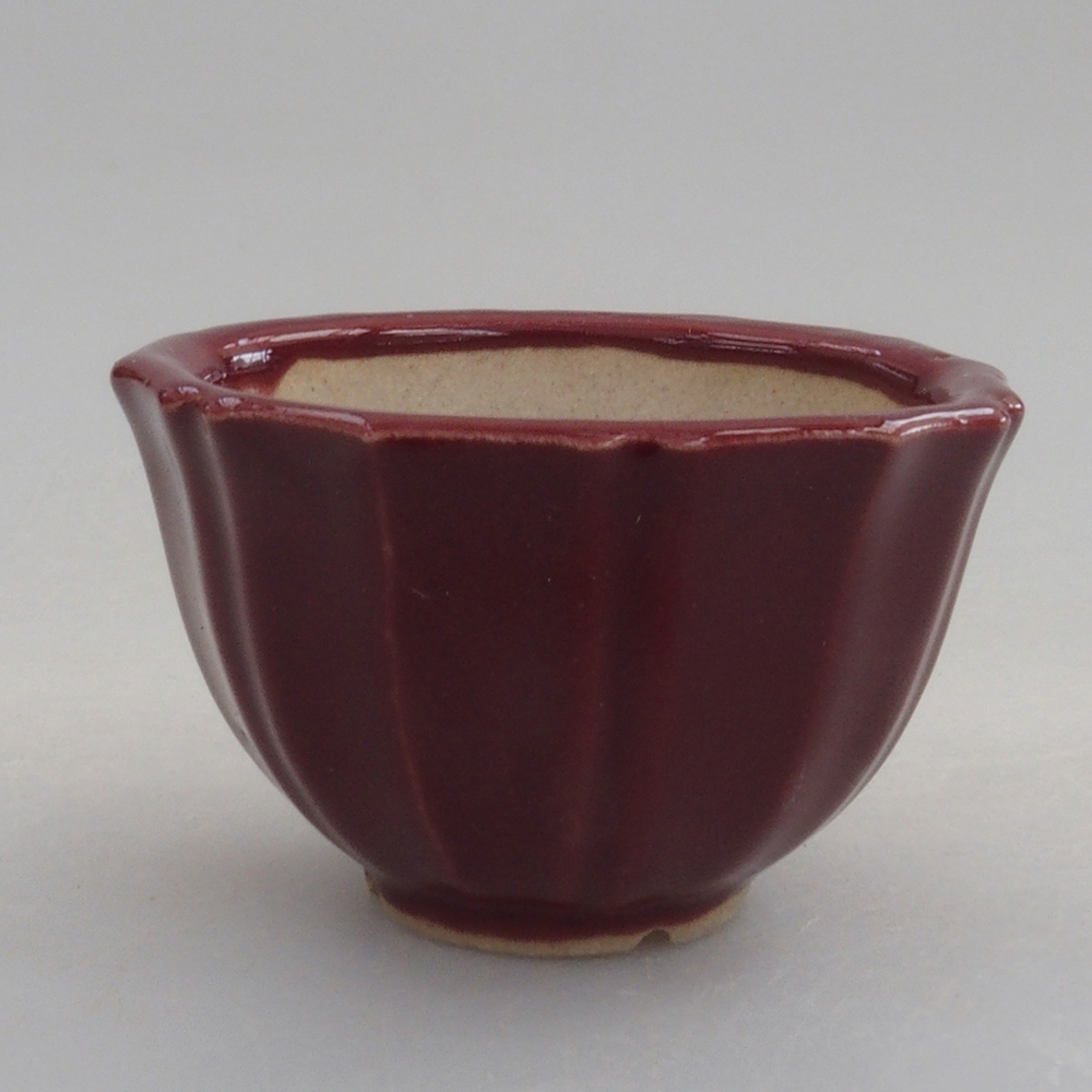 Mini bonsai tál 5 x 5 x 3 cm, bordó színű