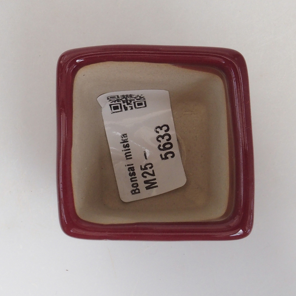 Mini bonsai tál 4,5 x 4,5 x 4,5 cm, bordó színben