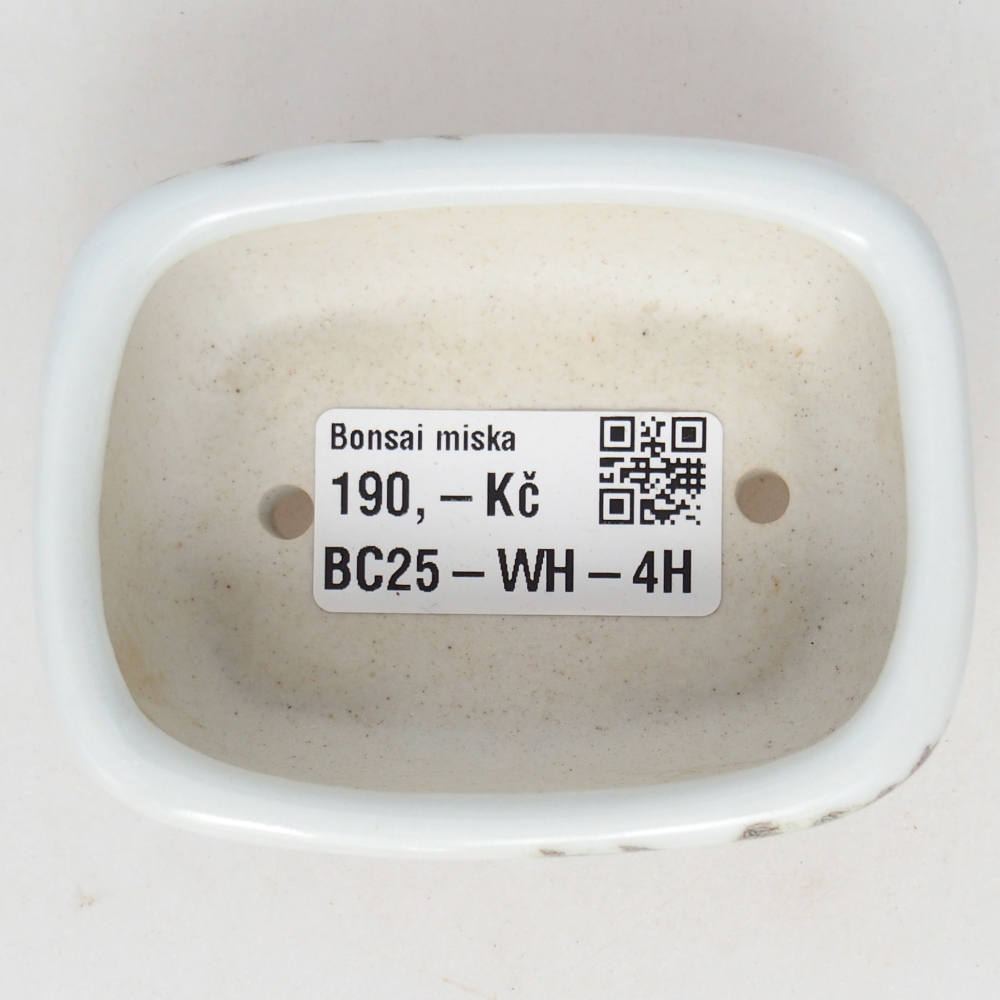 Mini bonsai tál 8 x 6 x 3 cm, fehér