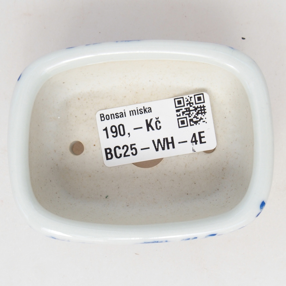 Mini bonsai tál 8 x 6 x 3 cm, fehér