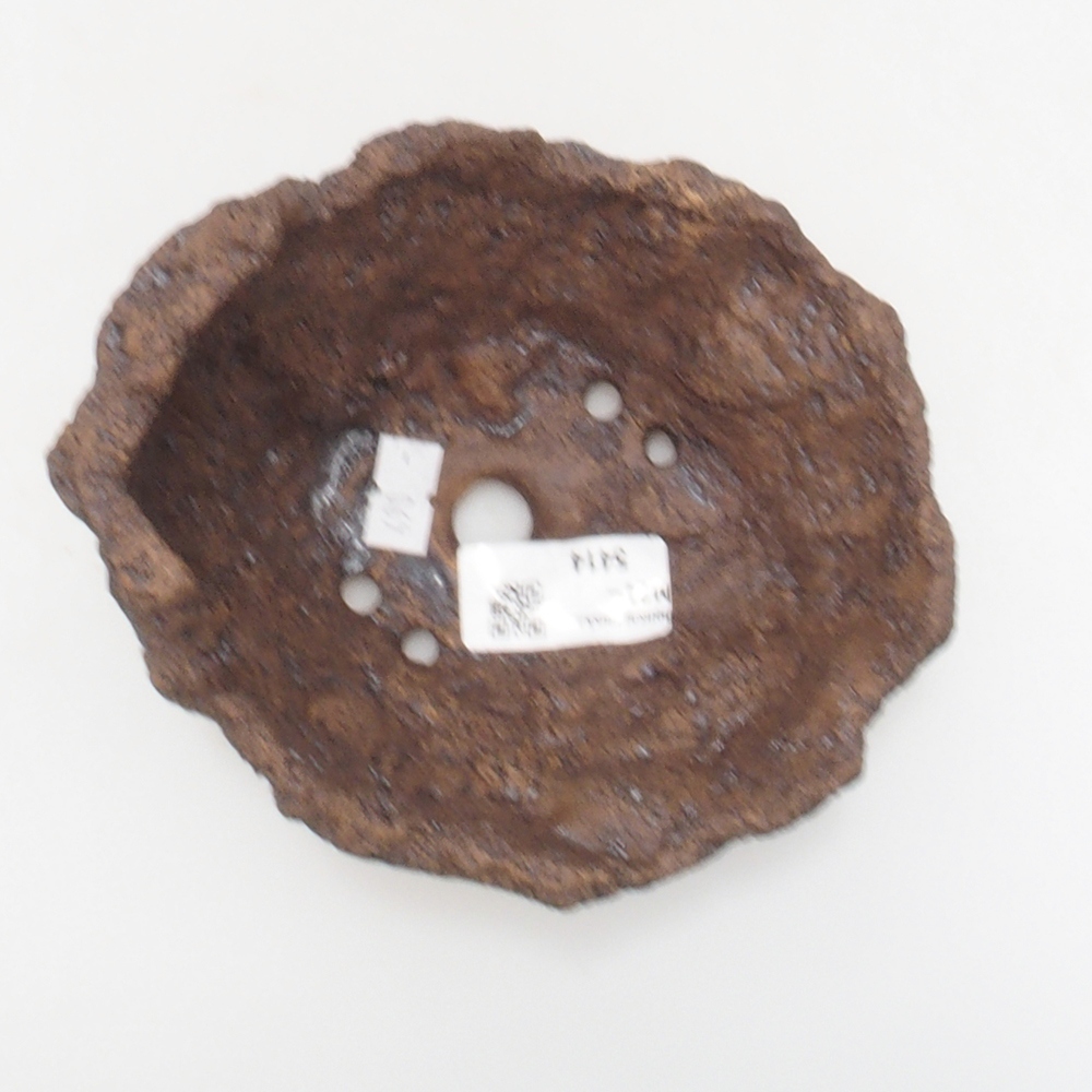 Kerámia kagyló 13 x 11 x 12 cm , színe barna