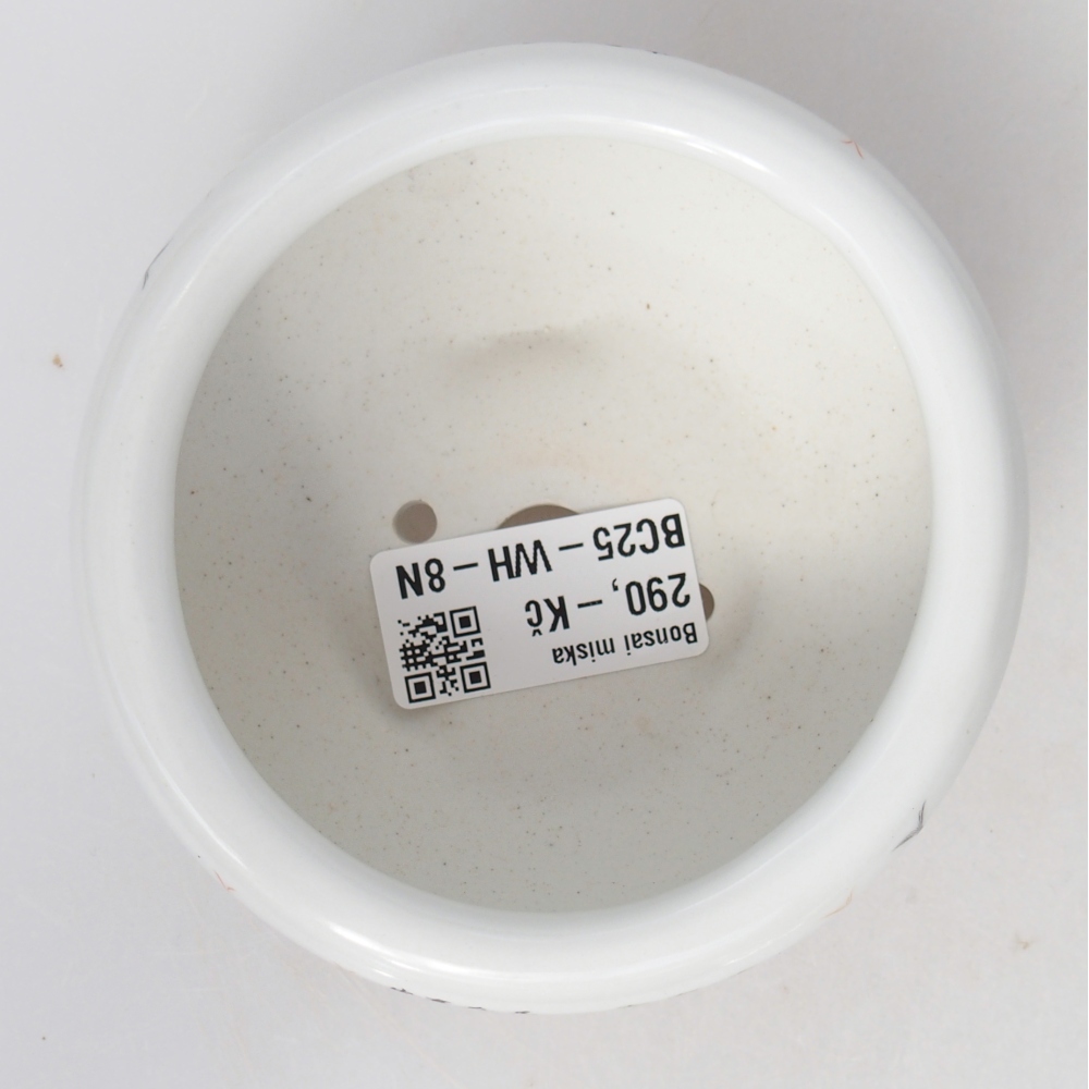 kerámia bonsai tál 10 x 10 x 5 cm, fehér színben