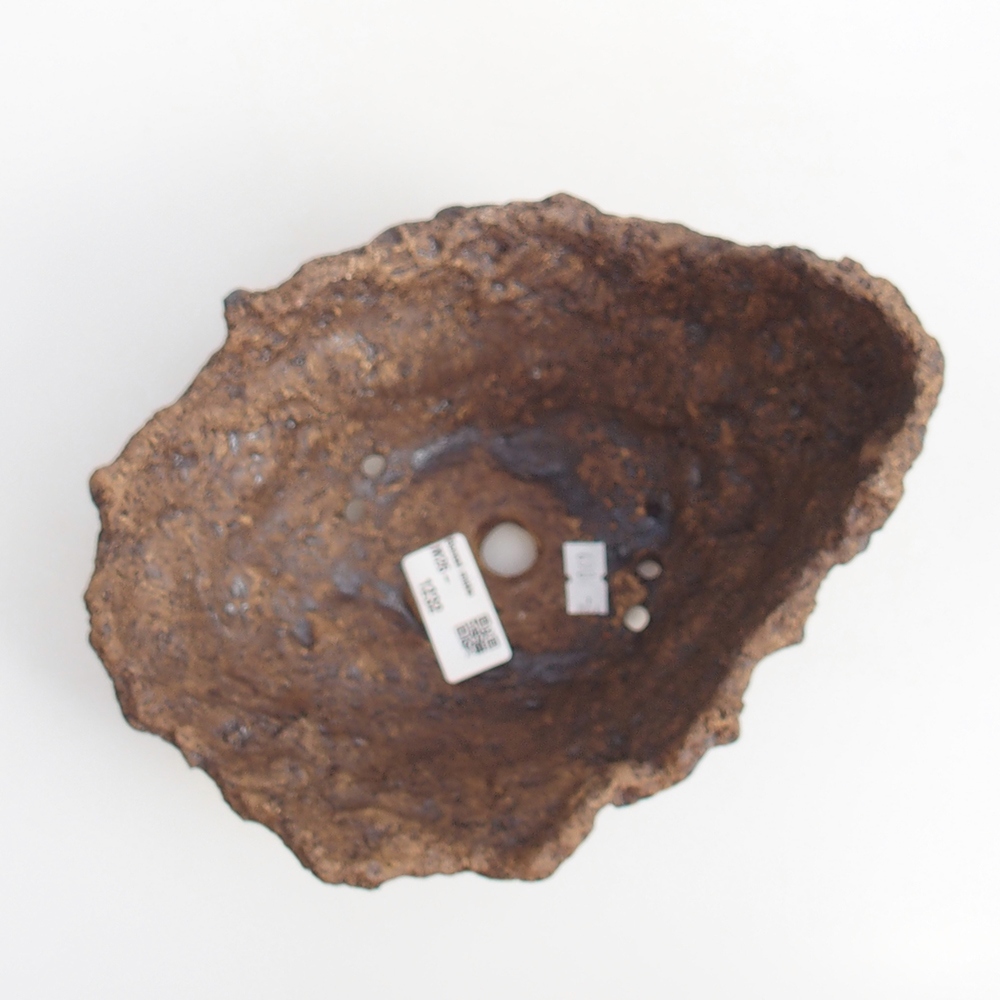 Kerámia kagyló 19 x 15 x 14 cm , barna színű