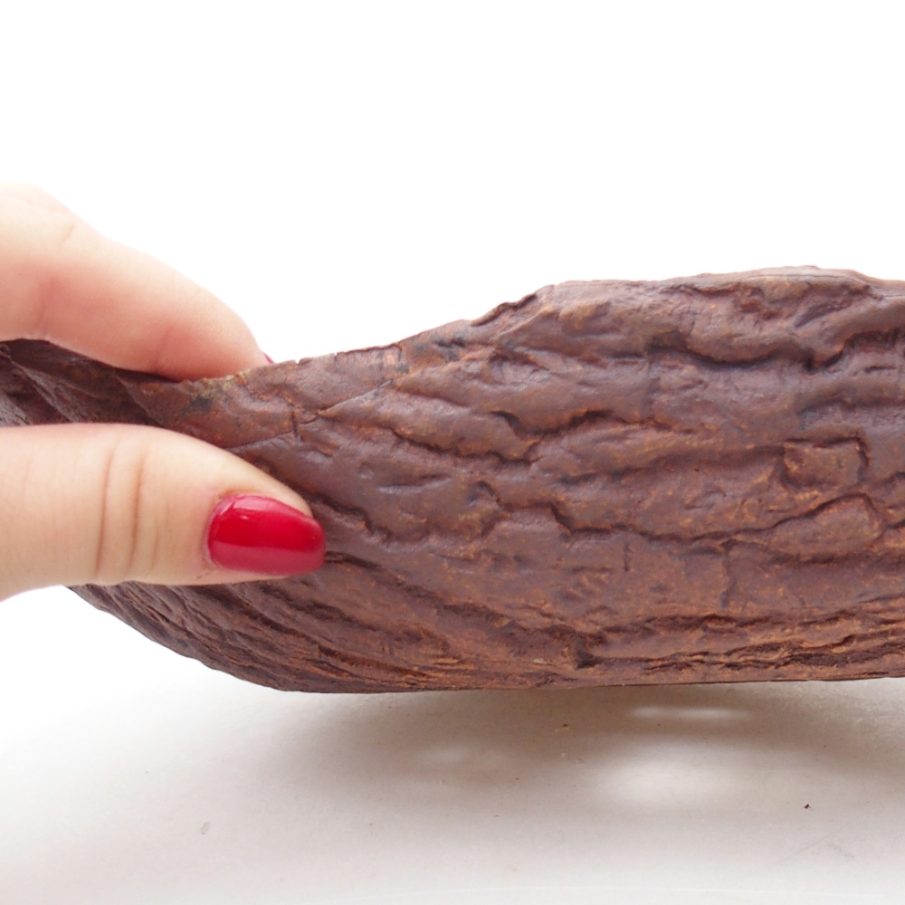 Kerámia kagyló 24 x 17 x 7 cm , színe barna