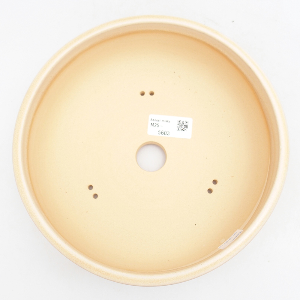 kerámia bonsai tál 21,5 x 21,5 x 7 cm, bézs színben