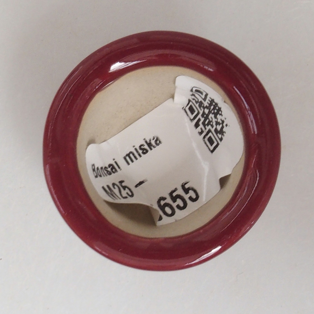 Mini bonsai tál 3,5 x 3,5 x 2,5 cm, bordó színben