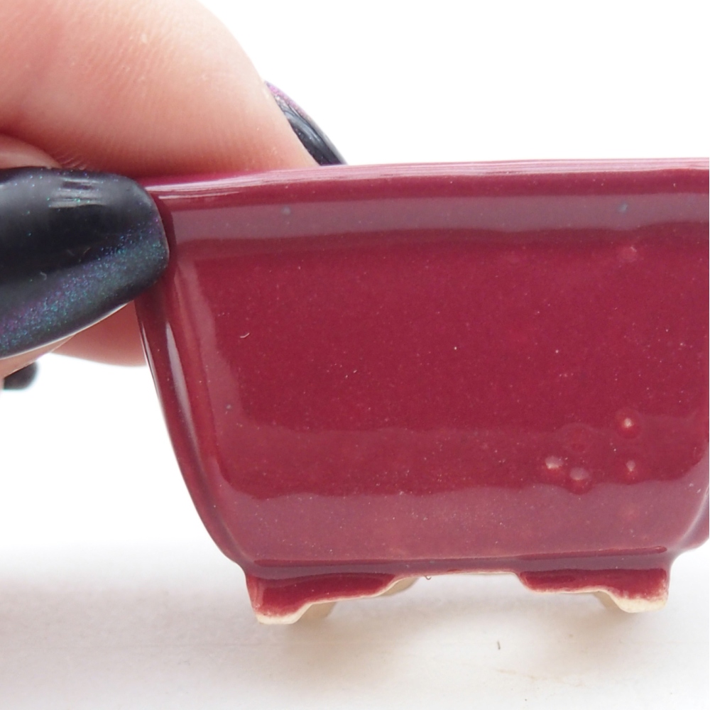 Mini bonsai tál 4,5 x 3,5 x 2,5 cm, bordó színben