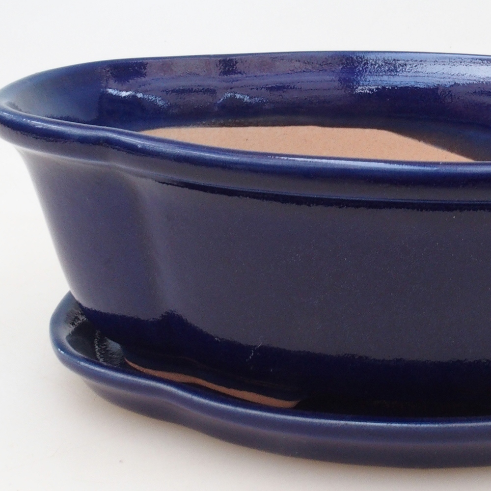 Bonsai tál + csészealj H75 - kék