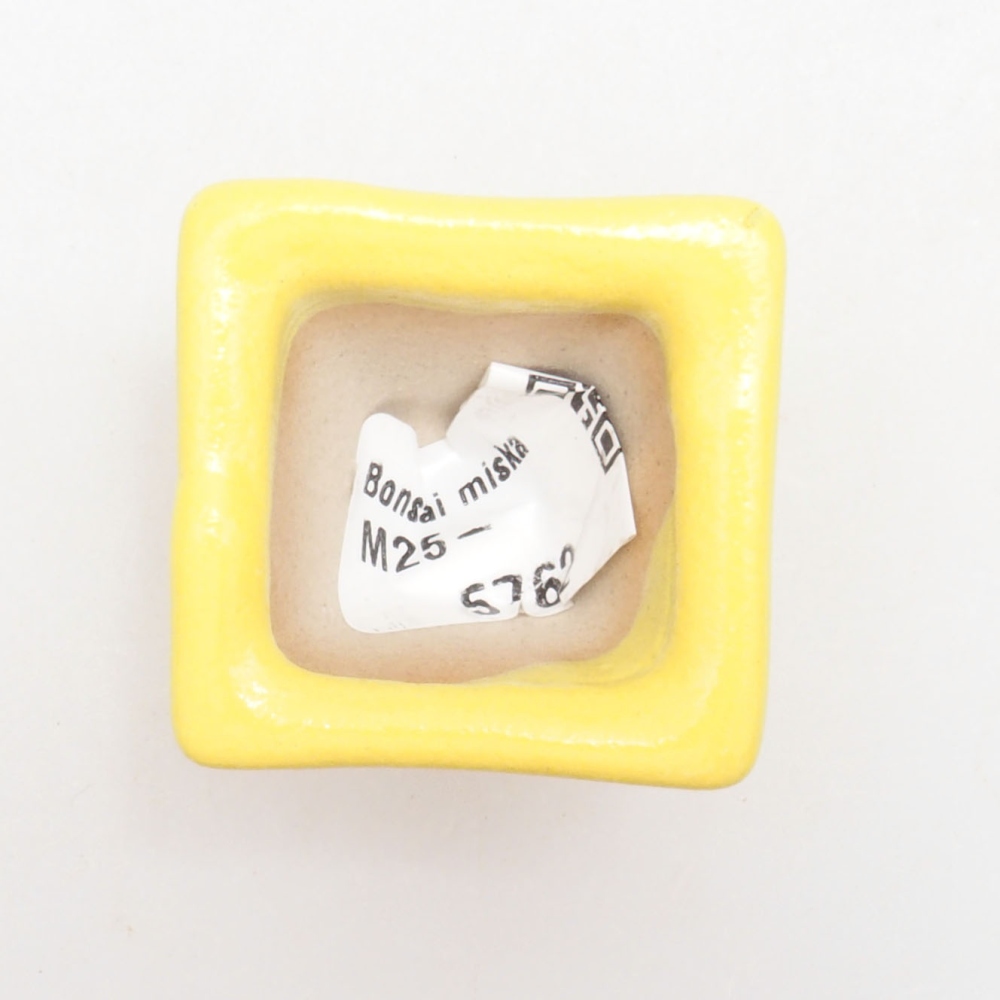 kerámia bonsai tál 3,5 x 3,5 x 3 cm, sárga