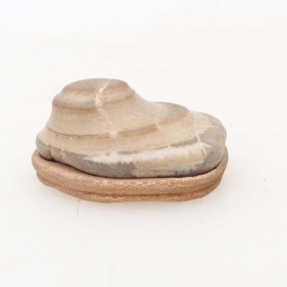 Suiseki - Kő DAI-val (fa alapon)