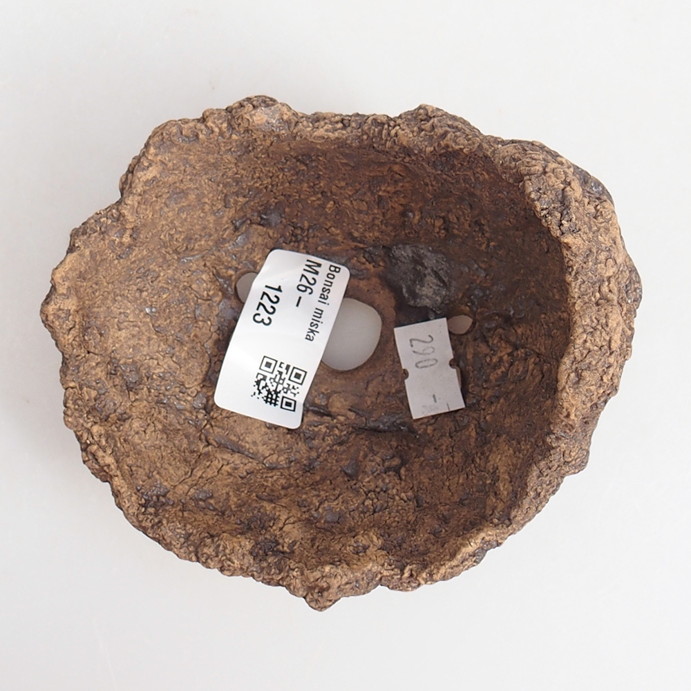 Kerámia kagyló 10 x 8 x 9 cm , barna színű