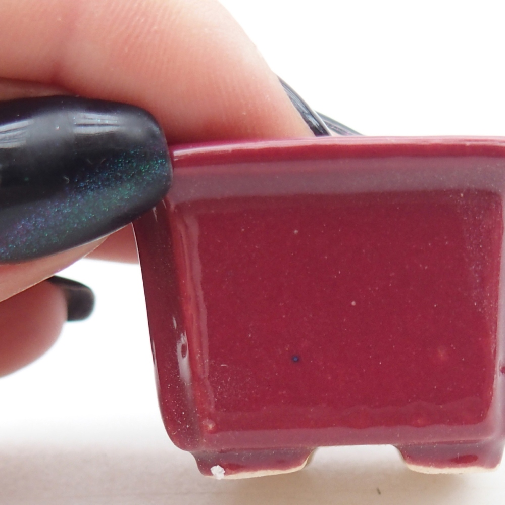 Mini bonsai tál 3,5 x 3,5 x 2 cm, bordó színben