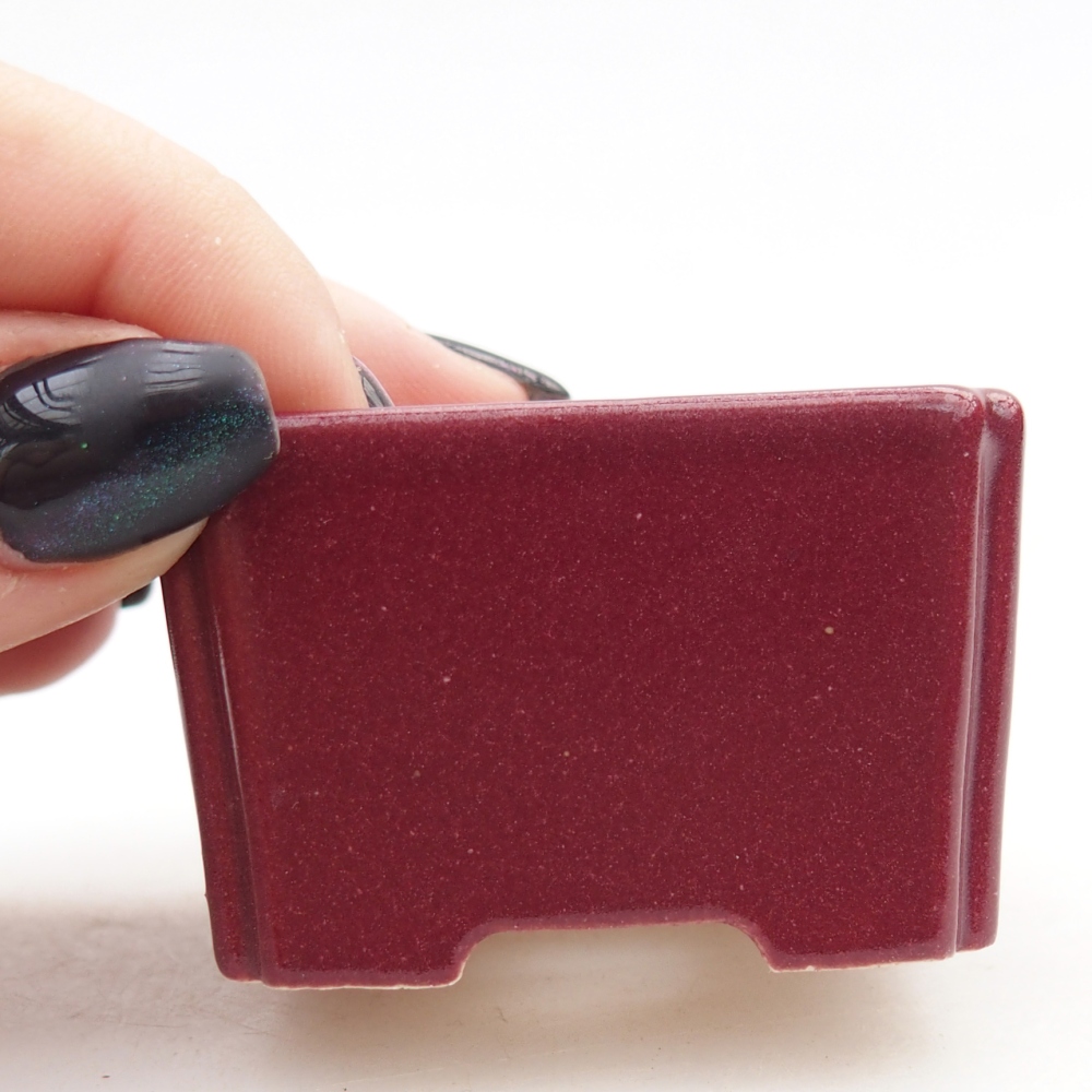 Mini bonsai tál 5 x 5 x 3 cm, bordó színű