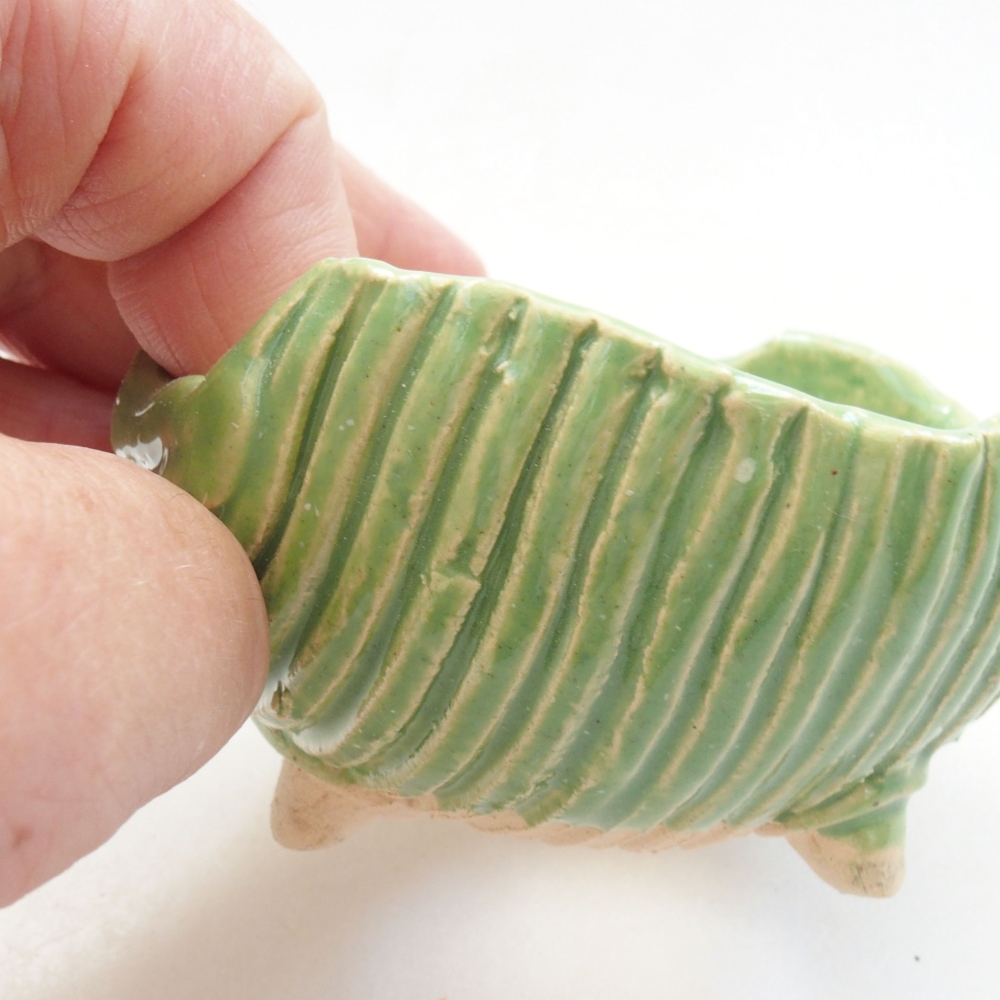 Kerámia kagyló 7,5 x 7 x 4,5 cm , zöld színű