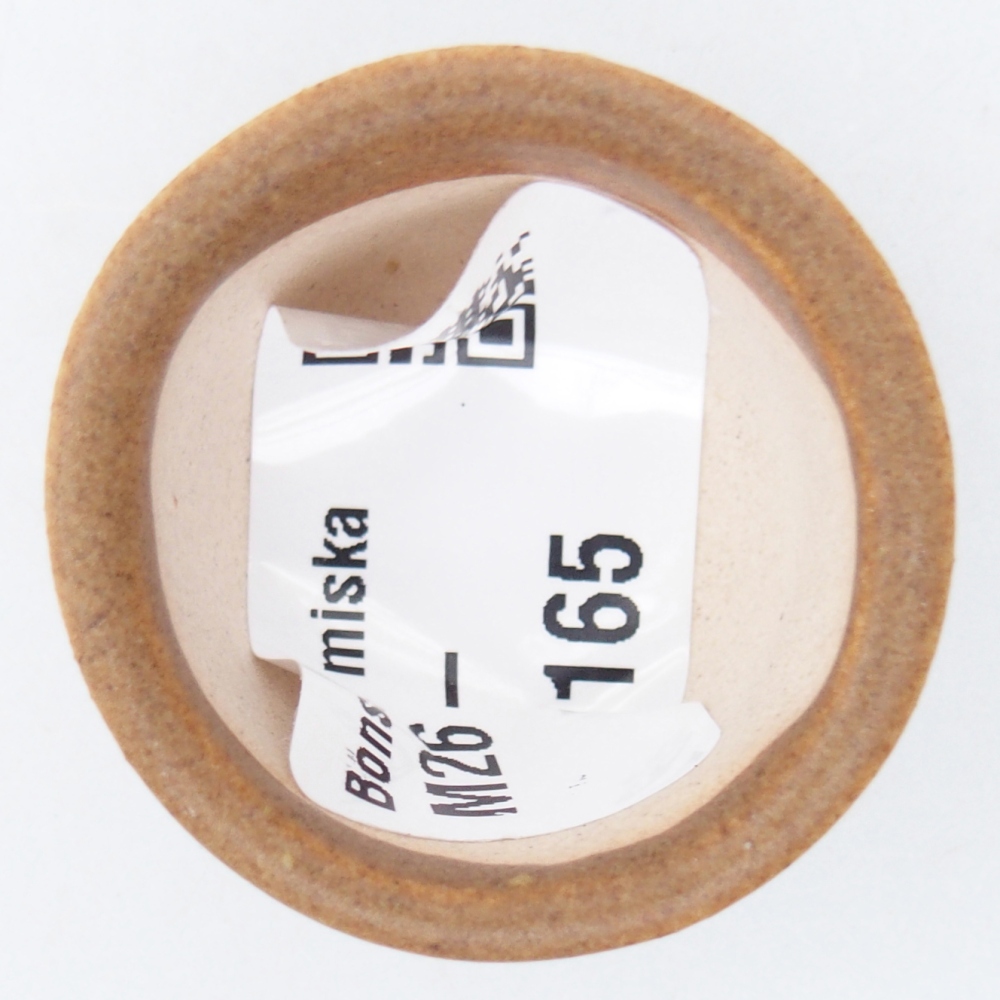 Mini bonsai tál 4 x 4 x 2 cm, barna