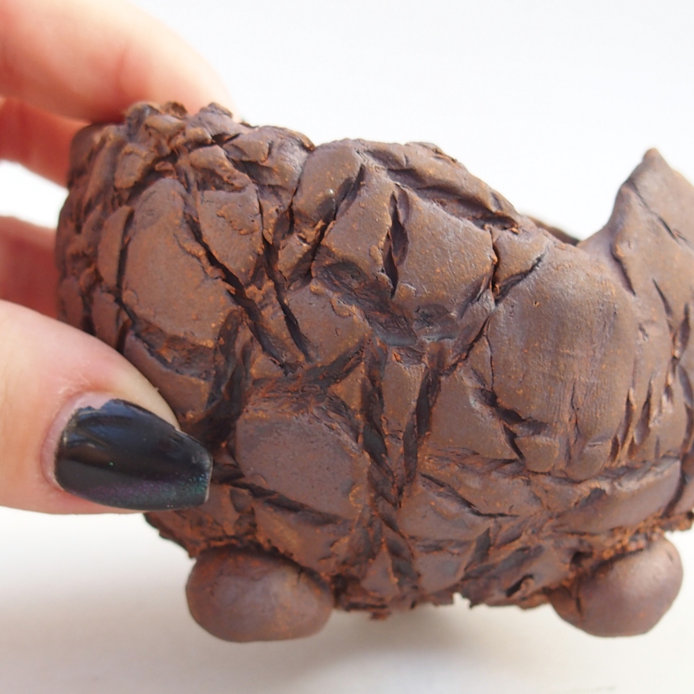 Kerámia kagyló 8,5 x 8,5 x 6 cm , barna színű