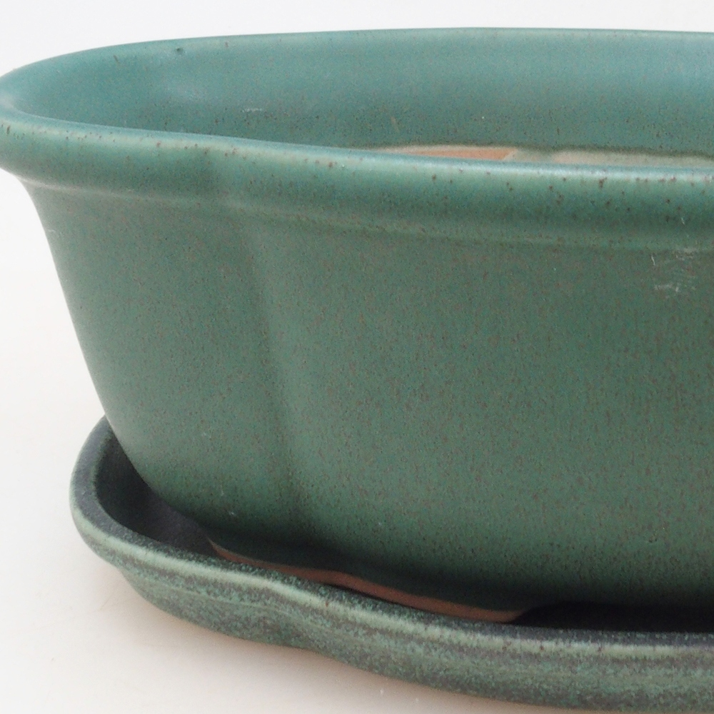 Bonsai tál + csészealj H75 - zöld