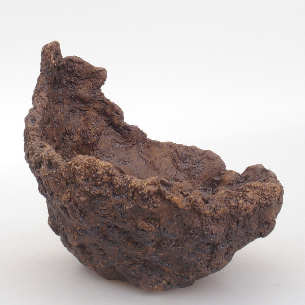 Kerámia kagyló 13,5 x 12 x 13,5 cm , színe barna