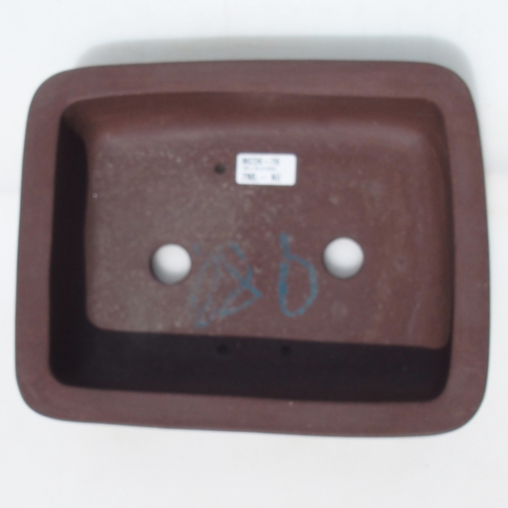 Bonsai tál 30 x 24 x 7,5 cm nyírfa barna