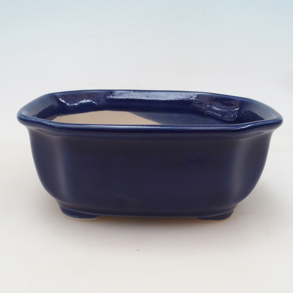 Bonsai tál + csészealj H31 - kék