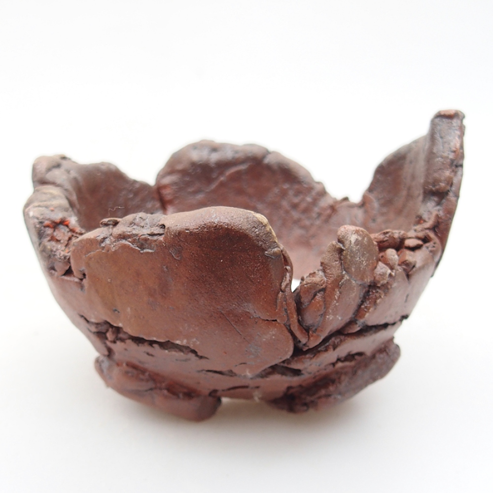 Kerámia kagyló 10 x 9 x 7 cm , barna színű