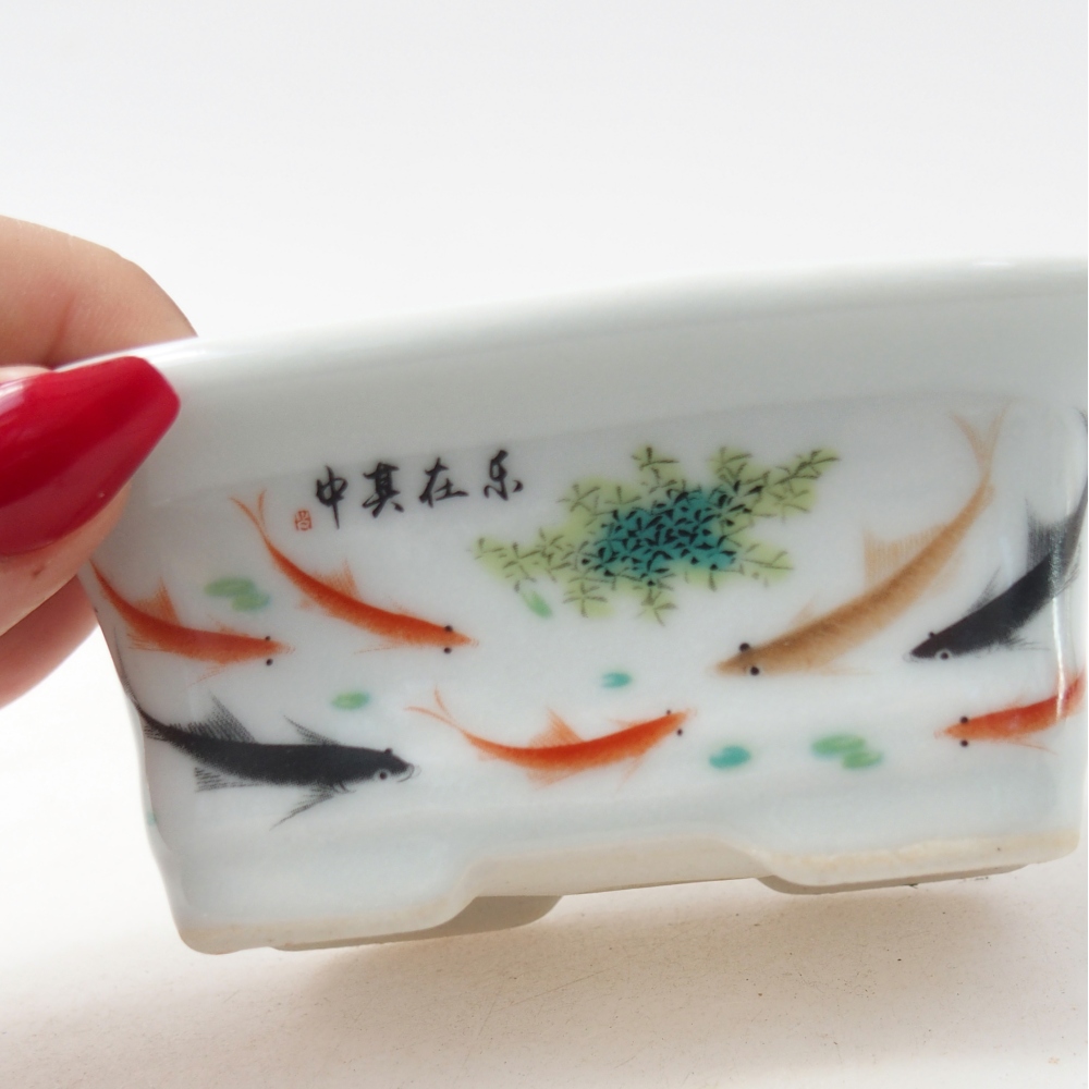 Mini bonsai tál 10 x 7,5 x 4 cm, fehér színben