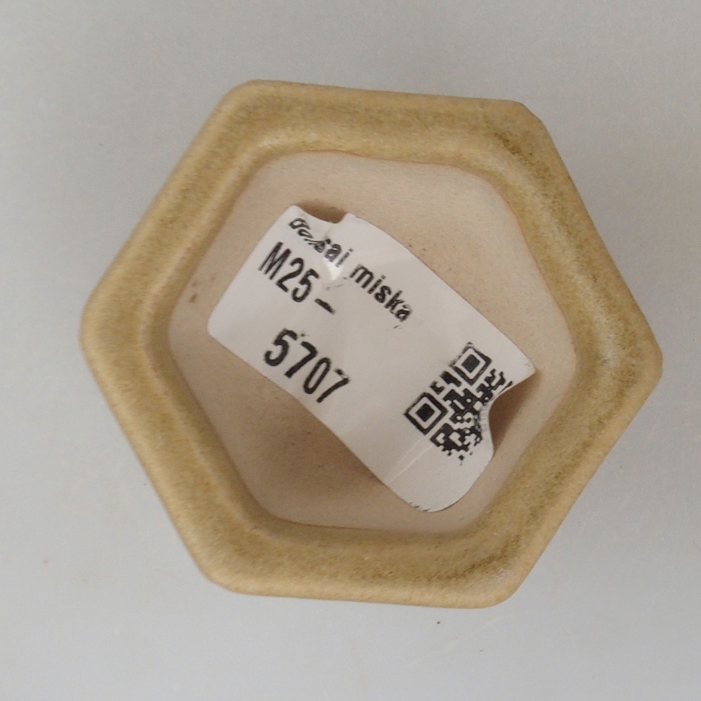 Mini bonsai tál 5 x 4,5 x 3 cm, barna