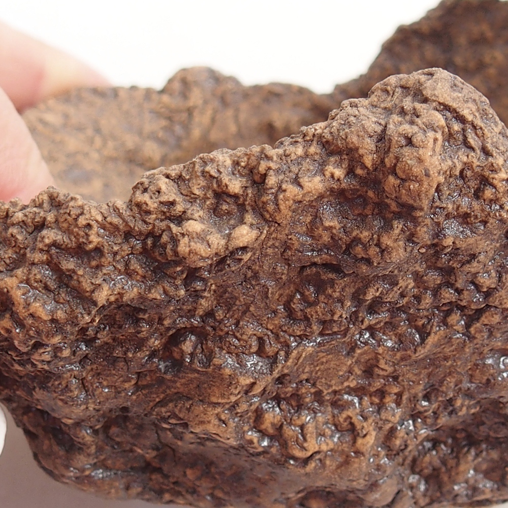 Kerámia kagyló 10 x 8 x 9 cm , barna színű