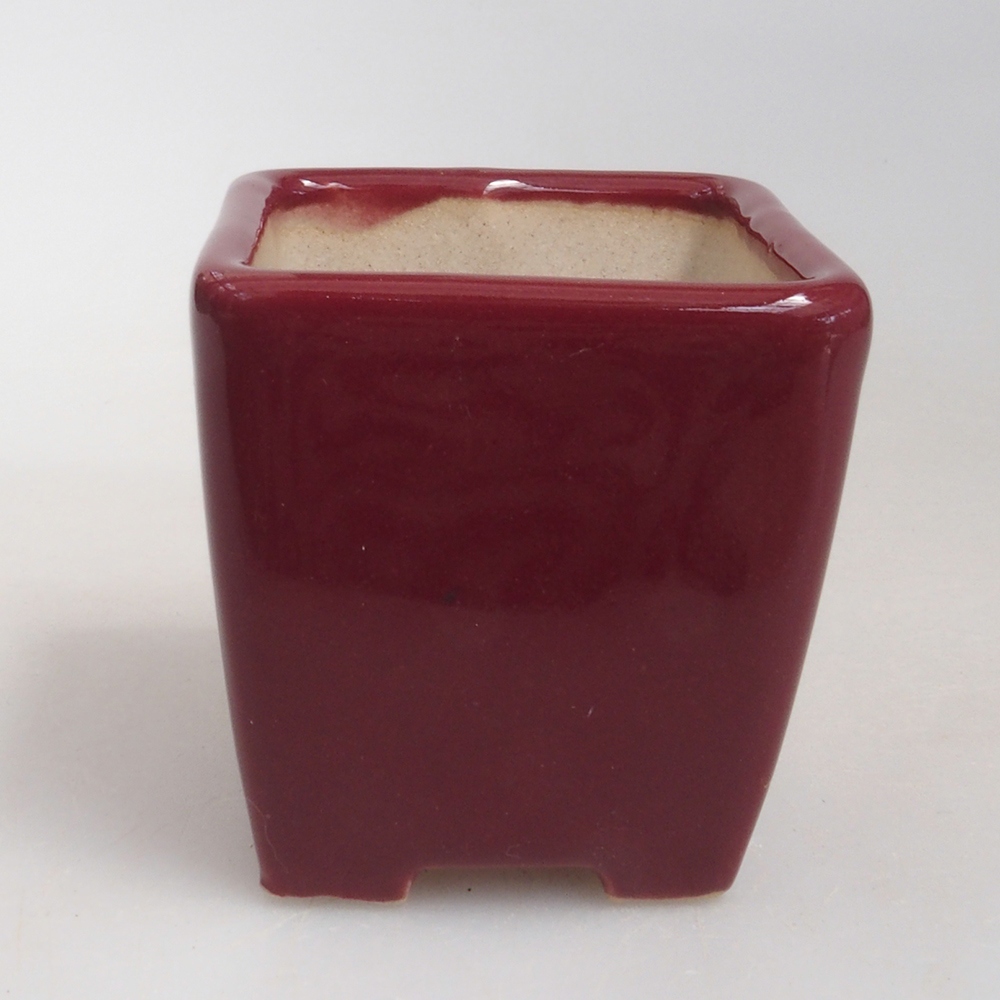 Mini bonsai tál 4,5 x 4,5 x 4,5 cm, bordó színben