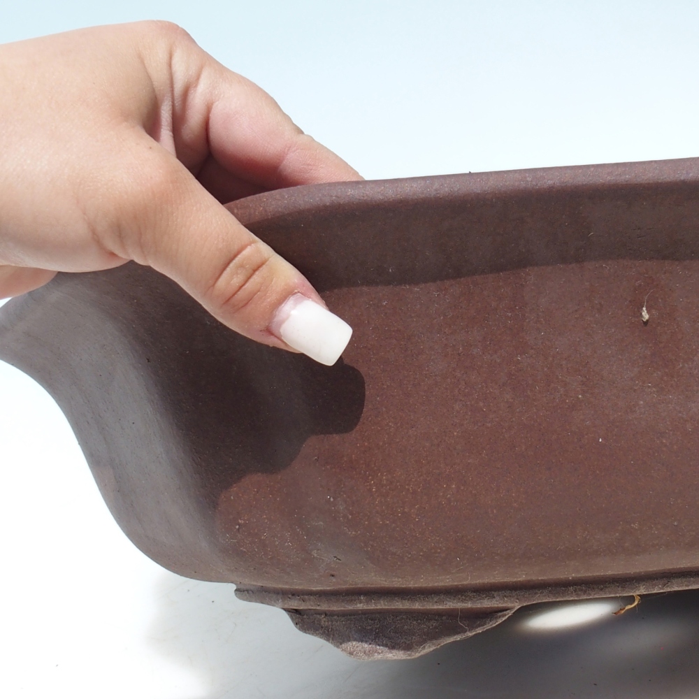 Bonsai tál 39 x 39 x 11,5 cm nyírfa barna