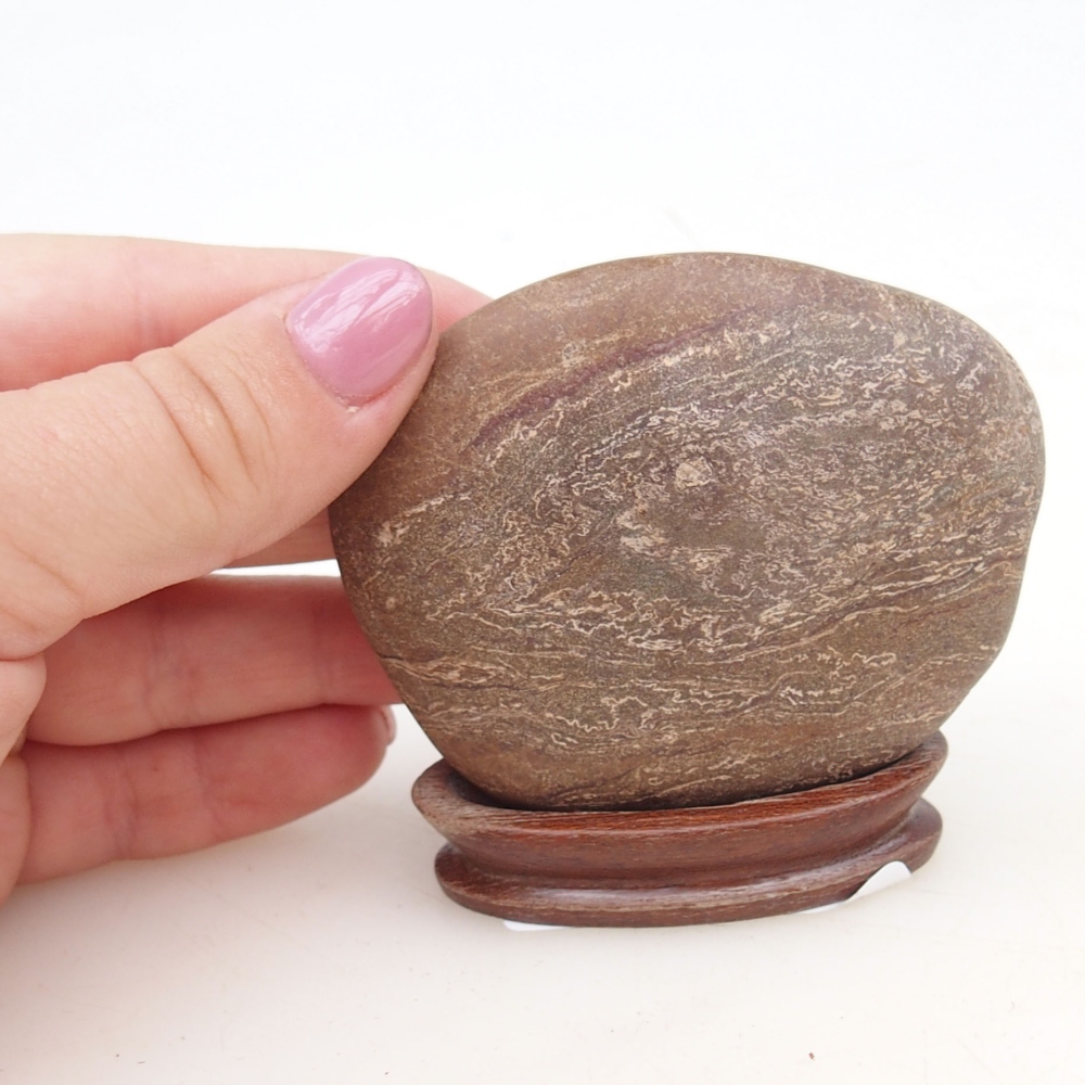 Suiseki - Kő DAI-val (fa alapon)