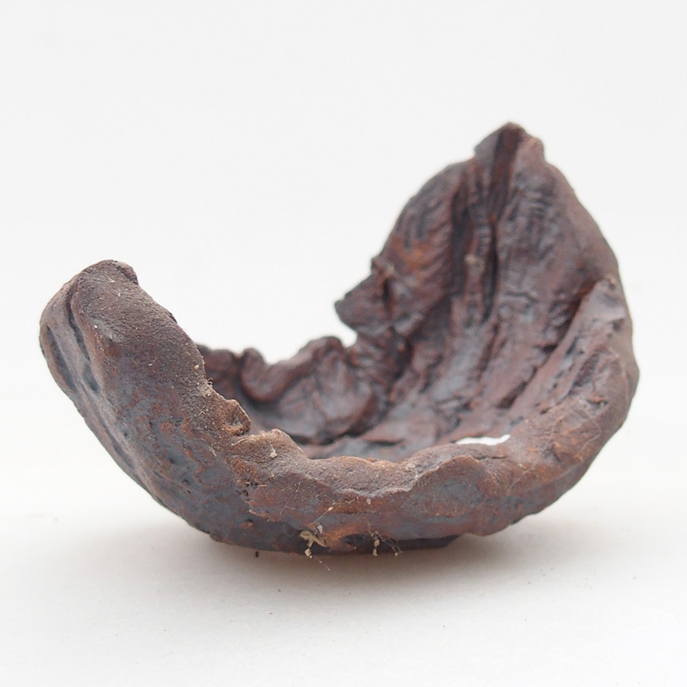 Kerámia kagyló 7,5 x 5,5 x 6 cm , barna színű