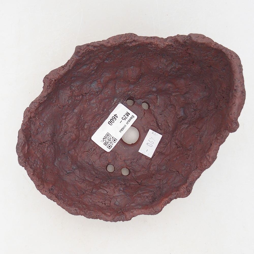 Kerámia kagyló 14 x 13 x 11,5 cm , színe barna