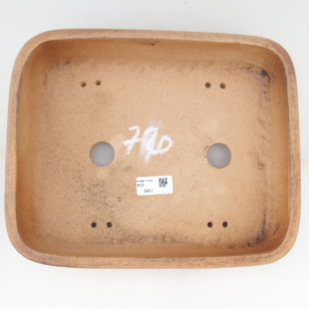 Bonsai tál 30 x 24 x 7 cm , színe barna