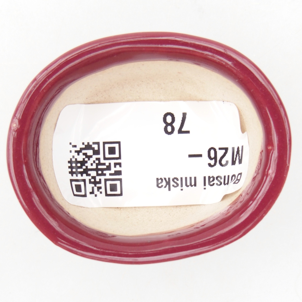 Mini bonsai tál 4,5 x 4 x 2 cm, bordó színben